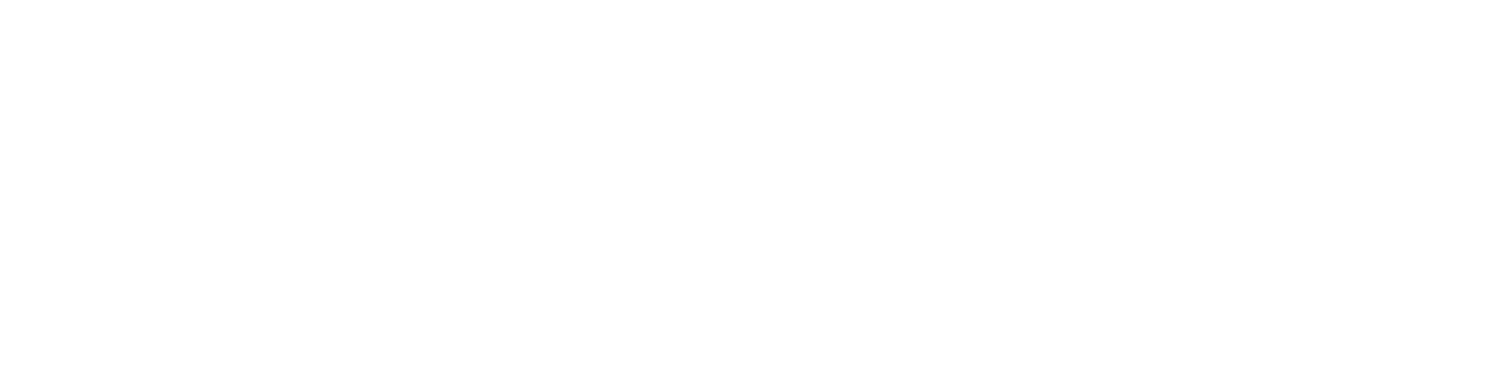 Sponsor Pitzon